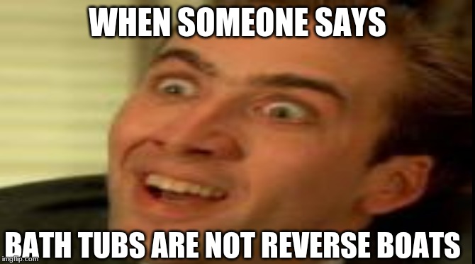 Ya don't say | WHEN SOMEONE SAYS; BATH TUBS ARE NOT REVERSE BOATS | image tagged in funny memes | made w/ Imgflip meme maker