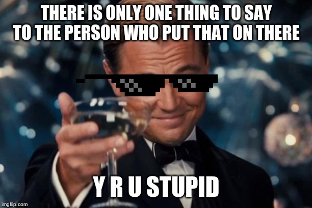 Leonardo Dicaprio Cheers | THERE IS ONLY ONE THING TO SAY TO THE PERSON WHO PUT THAT ON THERE; Y R U STUPID | image tagged in memes,leonardo dicaprio cheers | made w/ Imgflip meme maker
