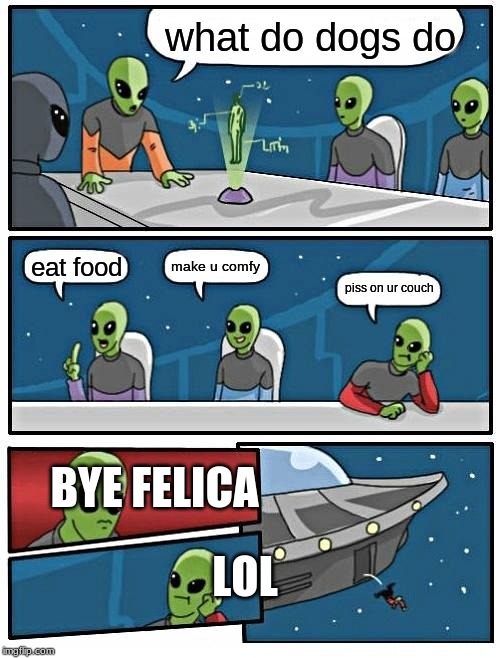 Alien Meeting Suggestion | what do dogs do; make u comfy; eat food; piss on ur couch; BYE FELICA; LOL | image tagged in memes,alien meeting suggestion | made w/ Imgflip meme maker