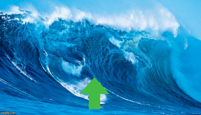 Tsunami Surfer | image tagged in tsunami surfer | made w/ Imgflip meme maker