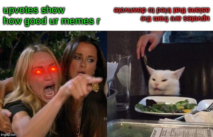 Woman Yelling At Cat | upvotes show how good ur memes r; upvotes are from the asians that tried to downvote | image tagged in memes,woman yelling at cat | made w/ Imgflip meme maker