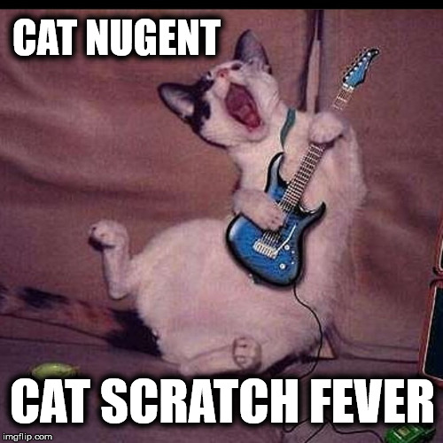 meow! | CAT NUGENT; CAT SCRATCH FEVER | image tagged in cat scratch fever,ted nugent,cat joke,funny cat memes | made w/ Imgflip meme maker