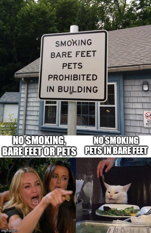 What is it? | NO SMOKING, BARE FEET OR PETS; NO SMOKING PETS IN BARE FEET | image tagged in memes,woman yelling at cat,stupid signs,pets | made w/ Imgflip meme maker