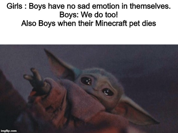 Baby yoda cry | Girls : Boys have no sad emotion in themselves.
Boys: We do too!
Also Boys when their Minecraft pet dies | image tagged in baby yoda cry | made w/ Imgflip meme maker