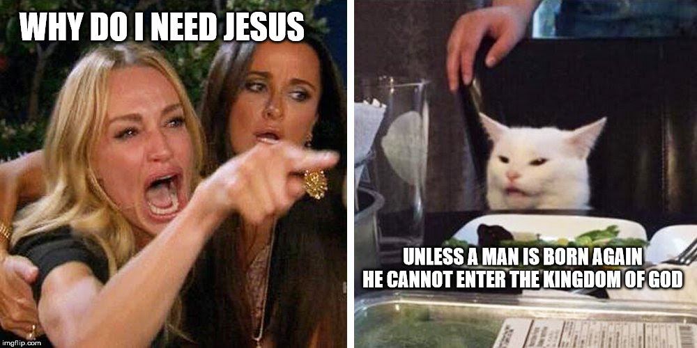 Smudge the cat | WHY DO I NEED JESUS; UNLESS A MAN IS BORN AGAIN HE CANNOT ENTER THE KINGDOM OF GOD | image tagged in smudge the cat | made w/ Imgflip meme maker