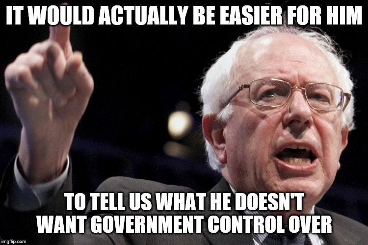 What doesn't he want control over? | IT WOULD ACTUALLY BE EASIER FOR HIM; TO TELL US WHAT HE DOESN'T WANT GOVERNMENT CONTROL OVER | image tagged in bernie sanders | made w/ Imgflip meme maker