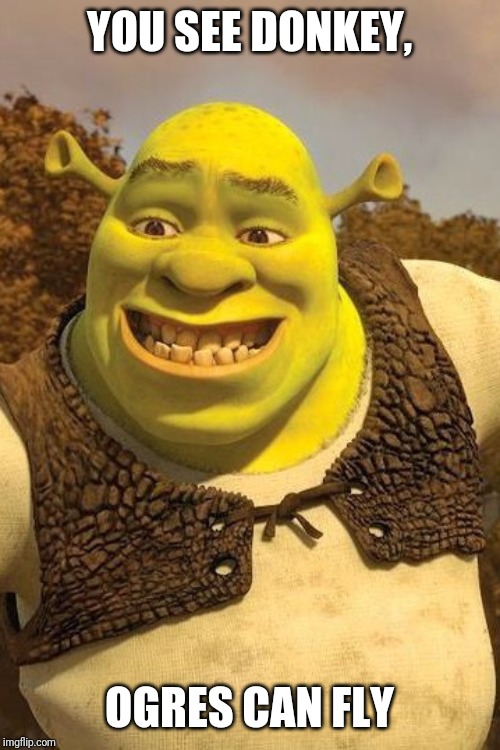 Smiling Shrek | YOU SEE DONKEY, OGRES CAN FLY | image tagged in smiling shrek | made w/ Imgflip meme maker
