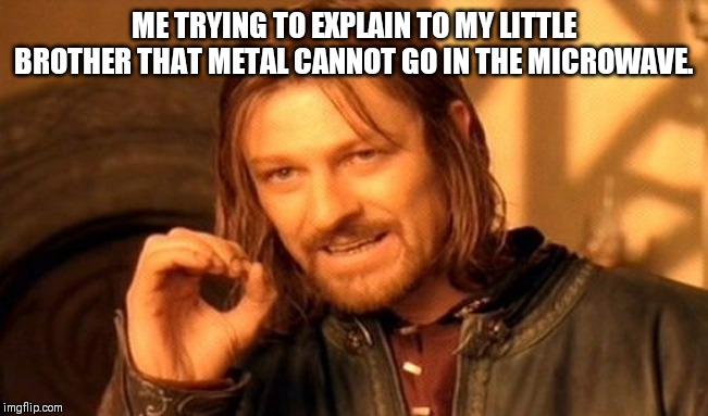 One Does Not Simply Meme | ME TRYING TO EXPLAIN TO MY LITTLE BROTHER THAT METAL CANNOT GO IN THE MICROWAVE. | image tagged in memes,one does not simply | made w/ Imgflip meme maker