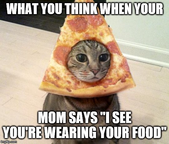 pizza cat | WHAT YOU THINK WHEN YOUR; MOM SAYS ''I SEE YOU'RE WEARING YOUR FOOD'' | image tagged in pizza cat | made w/ Imgflip meme maker