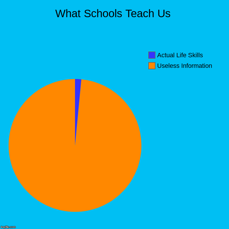 What Schools Teach Us | Useless Information, Actual Life Skills | image tagged in charts,pie charts | made w/ Imgflip chart maker