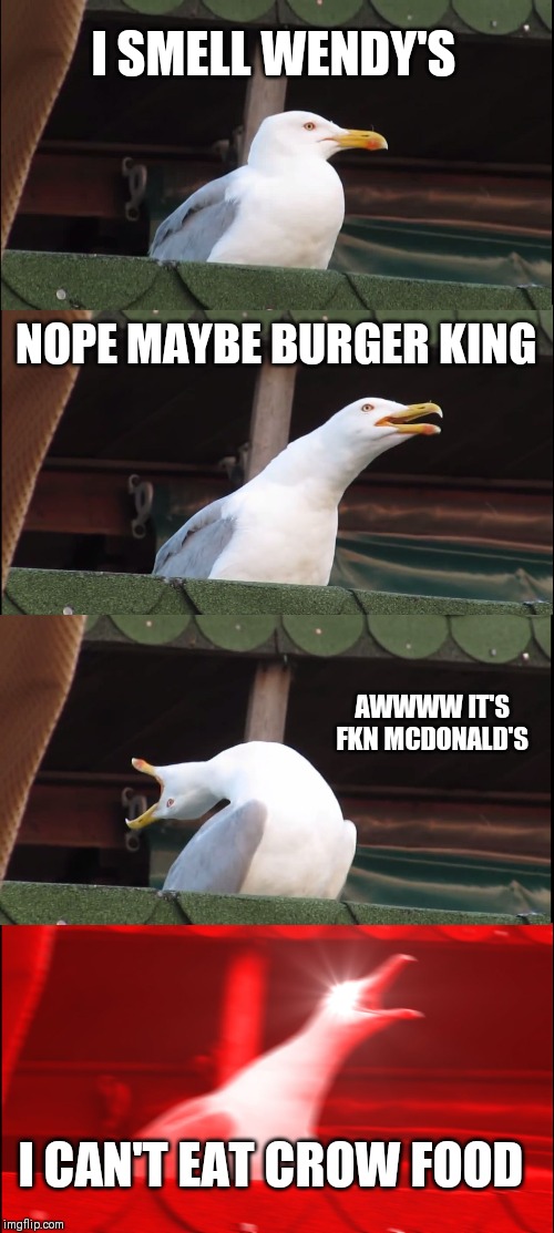 Inhaling Seagull Meme | I SMELL WENDY'S; NOPE MAYBE BURGER KING; AWWWW IT'S FKN MCDONALD'S; I CAN'T EAT CROW FOOD | image tagged in memes,inhaling seagull | made w/ Imgflip meme maker