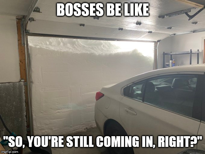 Mildly claustrophobic this morning. 
#snowmaggedon2020 #nlblizzard2020 #blizzard2020 #nlwx #NLblizzard | BOSSES BE LIKE; "SO, YOU'RE STILL COMING IN, RIGHT?" | image tagged in blizzard,snow,bosses | made w/ Imgflip meme maker