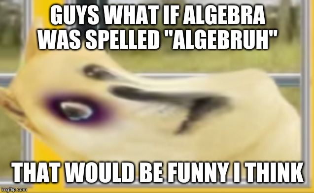 "relatable content" | GUYS WHAT IF ALGEBRA WAS SPELLED "ALGEBRUH"; THAT WOULD BE FUNNY I THINK | image tagged in doge,meme | made w/ Imgflip meme maker
