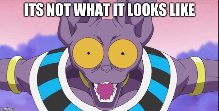 beerus | ITS NOT WHAT IT LOOKS LIKE | image tagged in beerus | made w/ Imgflip meme maker