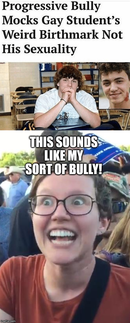 THIS SOUNDS LIKE MY SORT OF BULLY! | image tagged in liberal,leftist,progressive,bully,gay | made w/ Imgflip meme maker