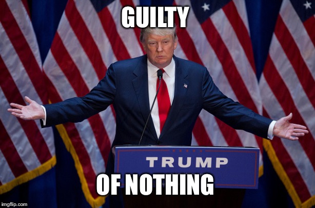 Donald Trump | GUILTY; OF NOTHING | image tagged in donald trump | made w/ Imgflip meme maker