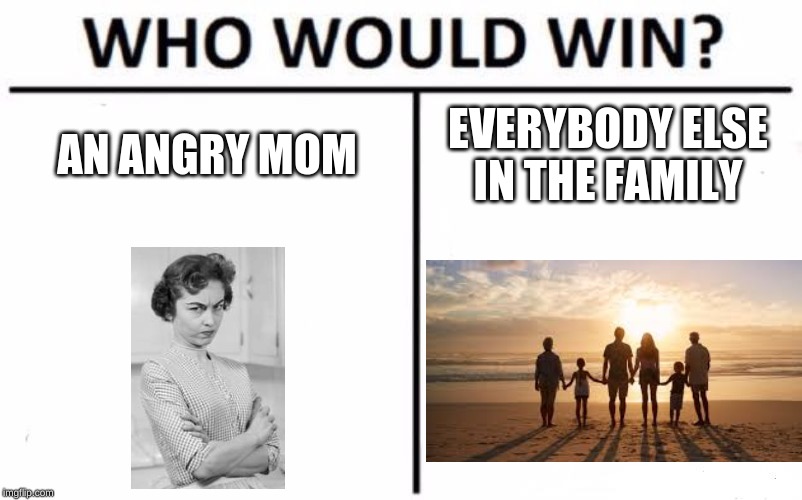 Who Would Win? | AN ANGRY MOM; EVERYBODY ELSE IN THE FAMILY | image tagged in memes,who would win | made w/ Imgflip meme maker