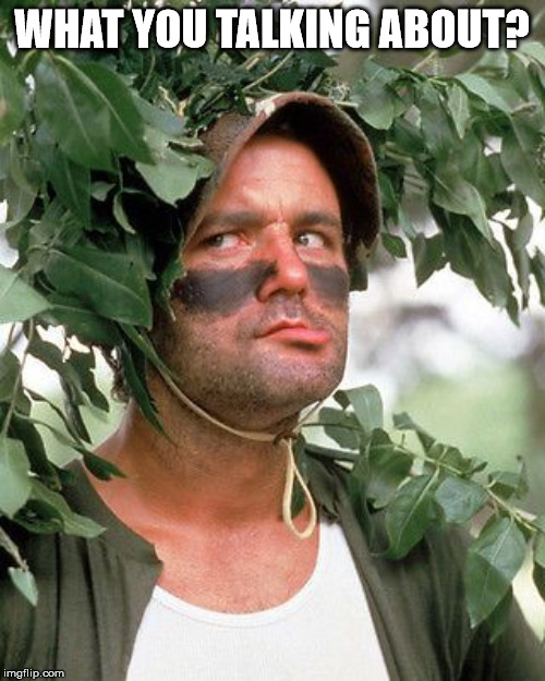 Bill Murray camouflaged | WHAT YOU TALKING ABOUT? | image tagged in bill murray camouflaged | made w/ Imgflip meme maker