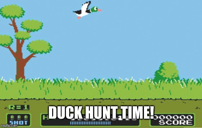 Duck Hunt Awesome Christmas | DUCK HUNT TIME! | image tagged in duck hunt awesome christmas | made w/ Imgflip meme maker