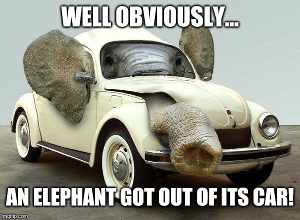 WELL OBVIOUSLY... AN ELEPHANT GOT OUT OF ITS CAR! | made w/ Imgflip meme maker