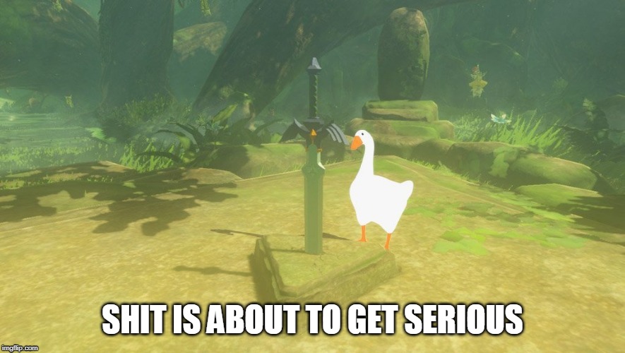 SHIT IS ABOUT TO GET SERIOUS | image tagged in untitled goose peace was never an option,goose,legend of zelda | made w/ Imgflip meme maker