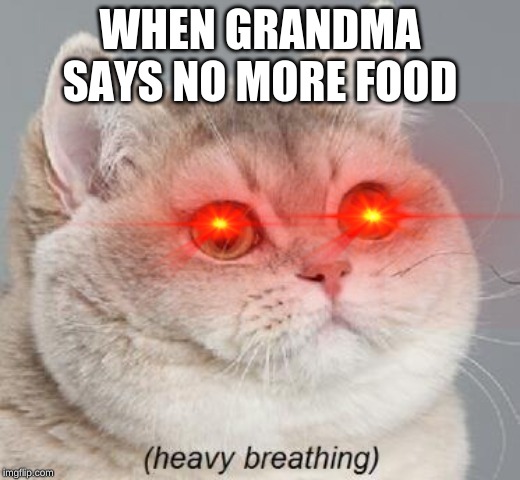 Heavy Breathing Cat | WHEN GRANDMA SAYS NO MORE FOOD | image tagged in memes,heavy breathing cat | made w/ Imgflip meme maker