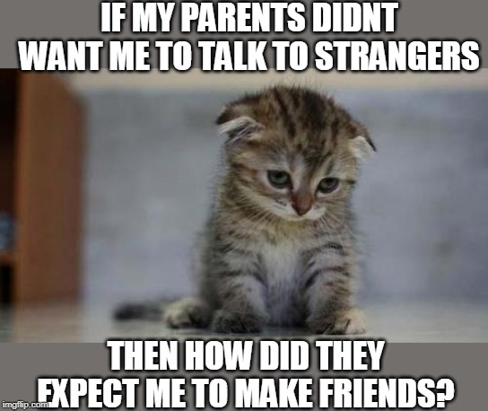 Sad kitten | IF MY PARENTS DIDNT WANT ME TO TALK TO STRANGERS; THEN HOW DID THEY EXPECT ME TO MAKE FRIENDS? | image tagged in sad kitten,strangers | made w/ Imgflip meme maker