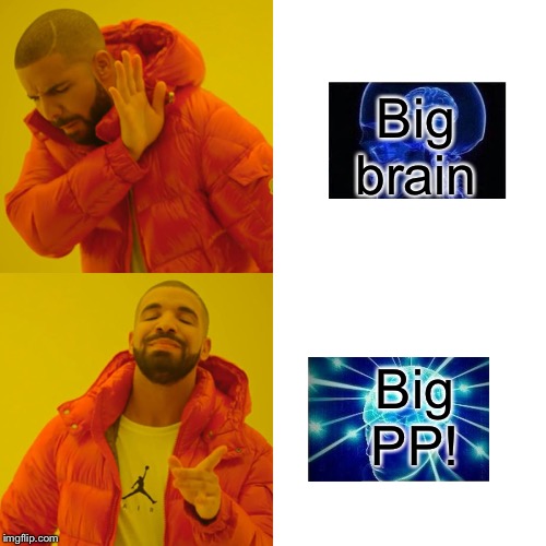 Drake Hotline Bling Meme | Big brain; Big PP! | image tagged in memes,drake hotline bling | made w/ Imgflip meme maker