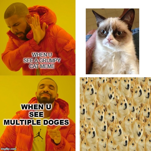 Drake Hotline Bling Meme | WHEN U SEE A GRUMPY CAT MEME; WHEN U SEE MULTIPLE DOGES | image tagged in memes,drake hotline bling | made w/ Imgflip meme maker