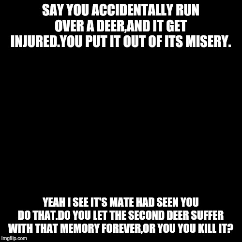 Black Box | SAY YOU ACCIDENTALLY RUN OVER A DEER,AND IT GET INJURED.YOU PUT IT OUT OF ITS MISERY. YEAH I SEE IT'S MATE HAD SEEN YOU DO THAT.DO YOU LET THE SECOND DEER SUFFER WITH THAT MEMORY FOREVER,OR YOU YOU KILL IT? | image tagged in black box | made w/ Imgflip meme maker