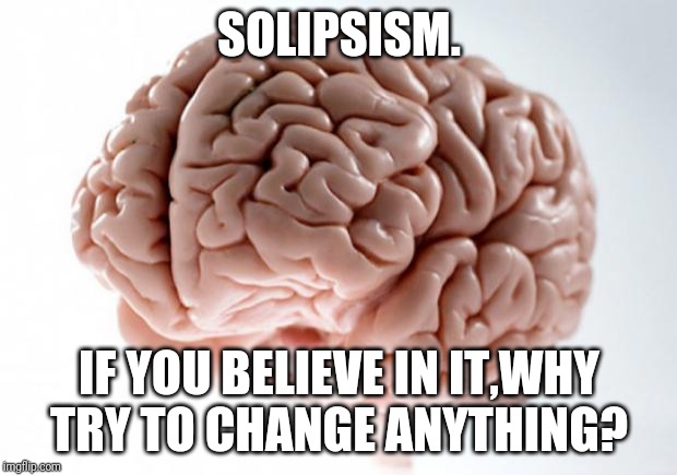 Scumbag Brain | SOLIPSISM. IF YOU BELIEVE IN IT,WHY TRY TO CHANGE ANYTHING? | image tagged in scumbag brain | made w/ Imgflip meme maker
