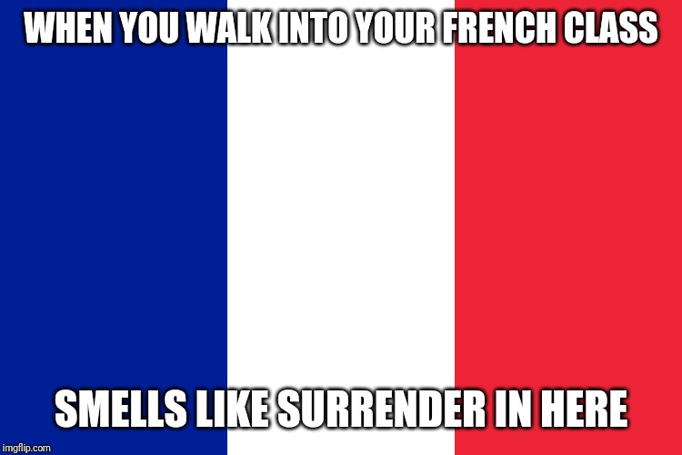 French | WHEN YOU WALK INTO YOUR FRENCH CLASS; SMELLS LIKE SURRENDER IN HERE | image tagged in french | made w/ Imgflip meme maker
