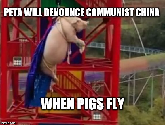 When pigs fly | PETA WILL DENOUNCE COMMUNIST CHINA; WHEN PIGS FLY | image tagged in china,pig bungee jump | made w/ Imgflip meme maker