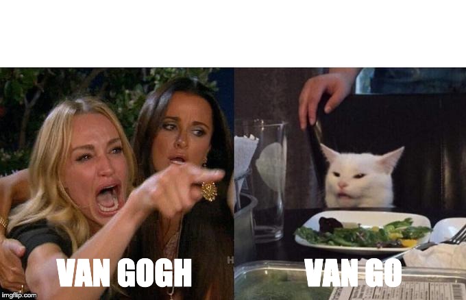 Woman Yelling At Cat | VAN GO; VAN GOGH | image tagged in memes,woman yelling at cat | made w/ Imgflip meme maker