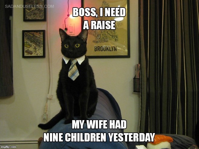 I need a raise | image tagged in cat humor,i need a raise,9 kittens | made w/ Imgflip meme maker