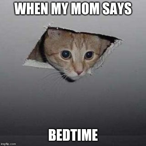 Ceiling Cat | WHEN MY MOM SAYS; BEDTIME | image tagged in memes,ceiling cat | made w/ Imgflip meme maker