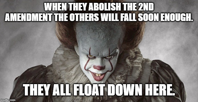 Penny Wise | WHEN THEY ABOLISH THE 2ND AMENDMENT THE OTHERS WILL FALL SOON ENOUGH. THEY ALL FLOAT DOWN HERE. | image tagged in penny wise | made w/ Imgflip meme maker