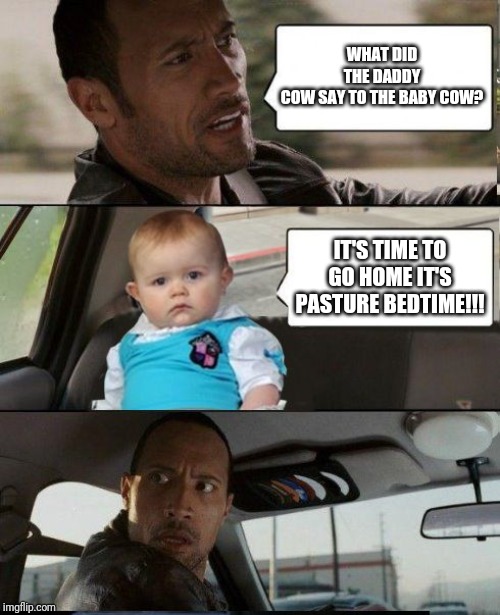The Rock Driving Dad Joke Baby | WHAT DID THE DADDY COW SAY TO THE BABY COW? IT'S TIME TO GO HOME IT'S PASTURE BEDTIME!!! | image tagged in the rock driving dad joke baby | made w/ Imgflip meme maker