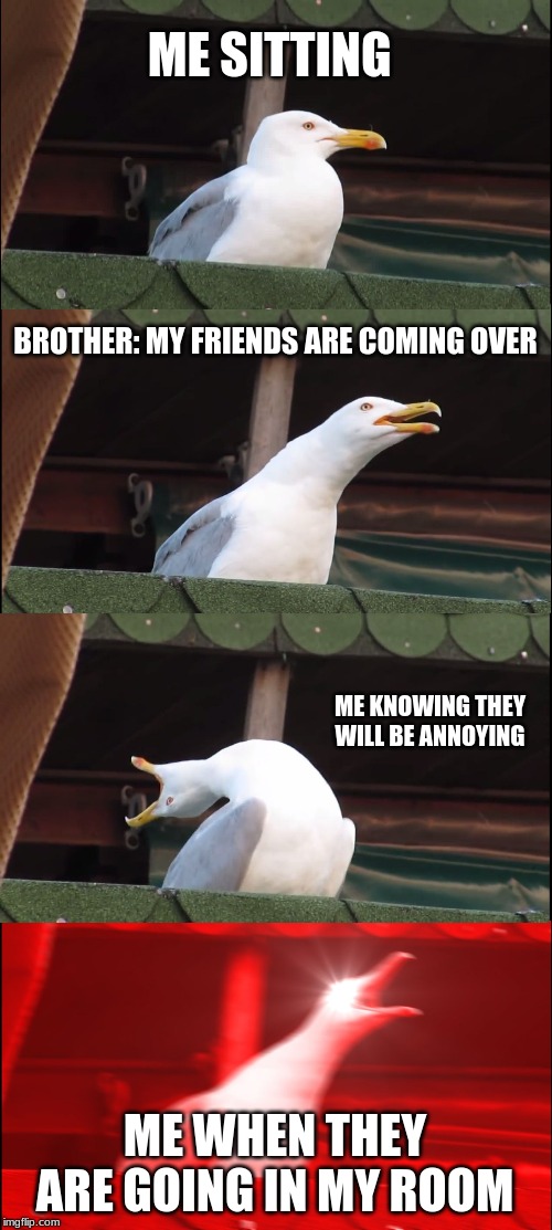 Inhaling Seagull | ME SITTING; BROTHER: MY FRIENDS ARE COMING OVER; ME KNOWING THEY WILL BE ANNOYING; ME WHEN THEY ARE GOING IN MY ROOM | image tagged in memes,inhaling seagull | made w/ Imgflip meme maker