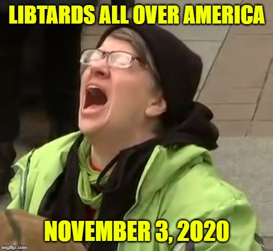 snowflake | LIBTARDS ALL OVER AMERICA NOVEMBER 3, 2O20 | image tagged in snowflake | made w/ Imgflip meme maker