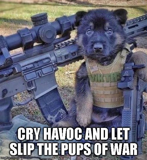 pups of war | CRY HAVOC AND LET SLIP THE PUPS OF WAR | image tagged in pups,2a | made w/ Imgflip meme maker