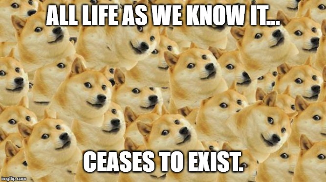 Multi Doge | ALL LIFE AS WE KNOW IT... CEASES TO EXIST. | image tagged in memes,multi doge | made w/ Imgflip meme maker