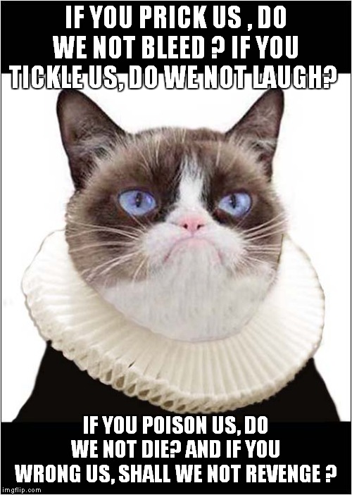 Grumpy - The Merchant Of Venice | IF YOU PRICK US , DO WE NOT BLEED ? IF YOU TICKLE US, DO WE NOT LAUGH? IF YOU POISON US, DO WE NOT DIE? AND IF YOU WRONG US, SHALL WE NOT REVENGE ? | image tagged in fun,grumpy cat,shakespeare,merchant of venice | made w/ Imgflip meme maker