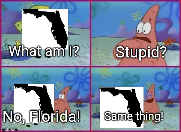 Texas Spongebob | Stupid? What am I? No, Florida! Same thing! | image tagged in texas spongebob | made w/ Imgflip meme maker