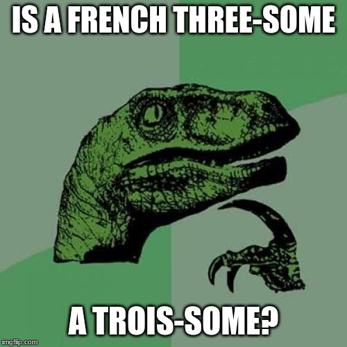 Philosoraptor | IS A FRENCH THREE-SOME; A TROIS-SOME? | image tagged in memes,philosoraptor | made w/ Imgflip meme maker