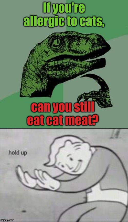 I just about died laughing when I came up with this idea | If you're allergic to cats, can you still eat cat meat? | image tagged in memes,philosoraptor,fallout hold up,funny,uncomfortable,cat | made w/ Imgflip meme maker