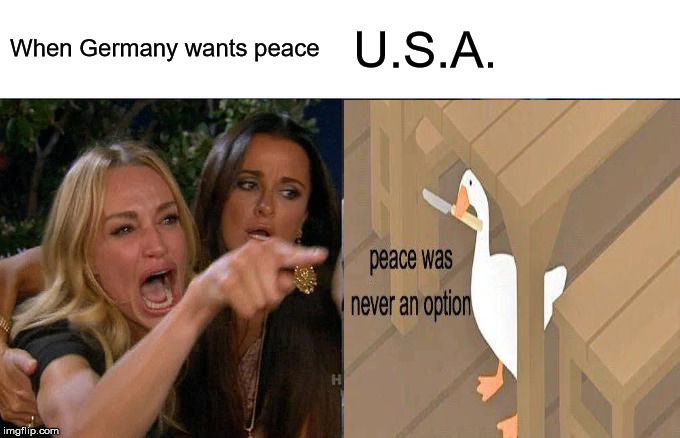 Woman Yelling At Cat | When Germany wants peace; U.S.A. | image tagged in memes,woman yelling at cat | made w/ Imgflip meme maker