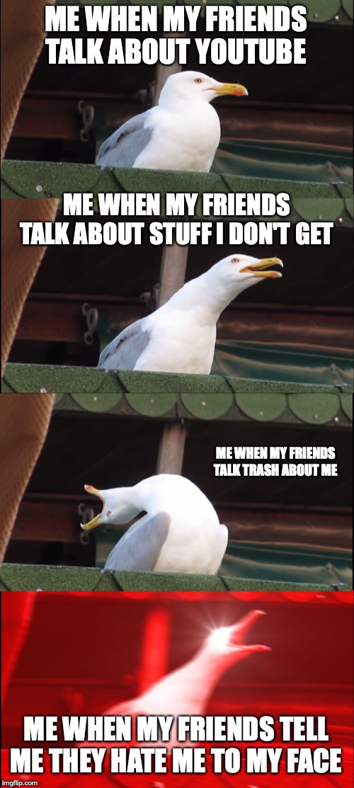 yeah sorry it's weird. | ME WHEN MY FRIENDS TALK ABOUT YOUTUBE; ME WHEN MY FRIENDS TALK ABOUT STUFF I DON'T GET; ME WHEN MY FRIENDS TALK TRASH ABOUT ME; ME WHEN MY FRIENDS TELL ME THEY HATE ME TO MY FACE | image tagged in memes,inhaling seagull | made w/ Imgflip meme maker