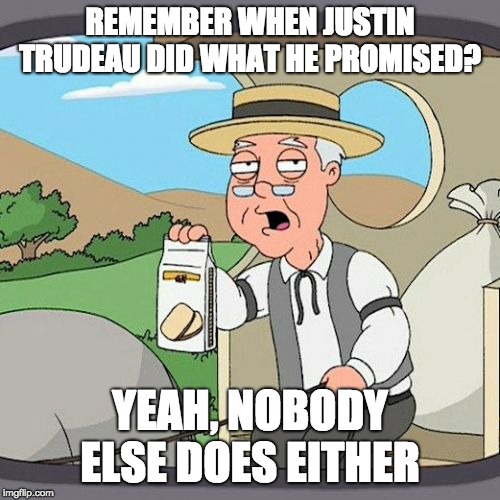 Politicians Lie | REMEMBER WHEN JUSTIN TRUDEAU DID WHAT HE PROMISED? YEAH, NOBODY ELSE DOES EITHER | image tagged in memes,pepperidge farm remembers,justin trudeau,lies,politics,politicians | made w/ Imgflip meme maker