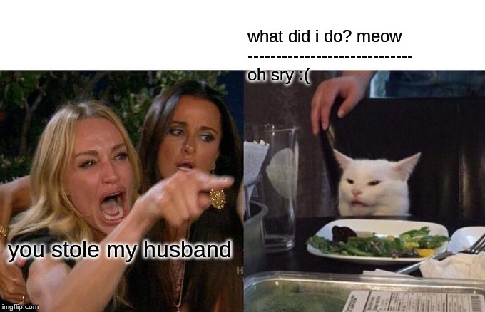 Woman Yelling At Cat Meme | what did i do? meow
-----------------------------
oh sry :(; you stole my husband | image tagged in memes,woman yelling at cat | made w/ Imgflip meme maker